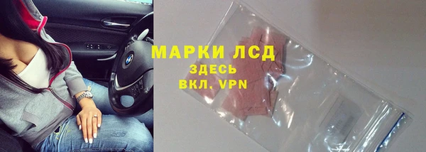 спайс Бородино